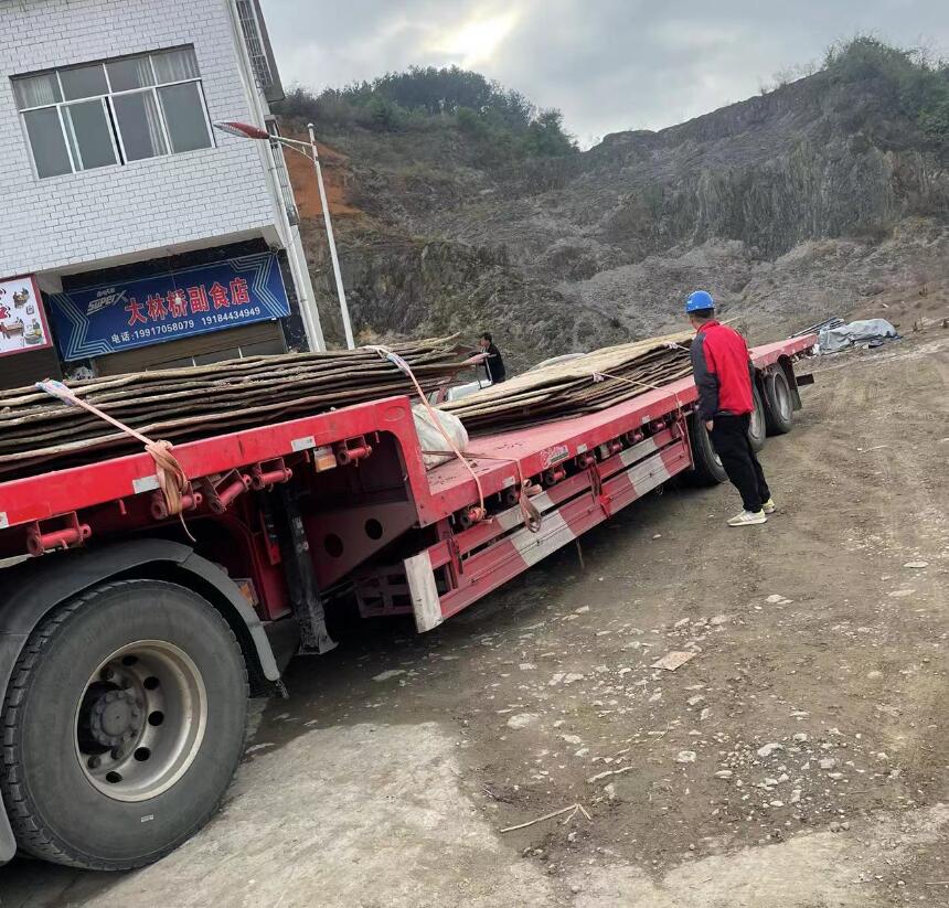 ���̰���